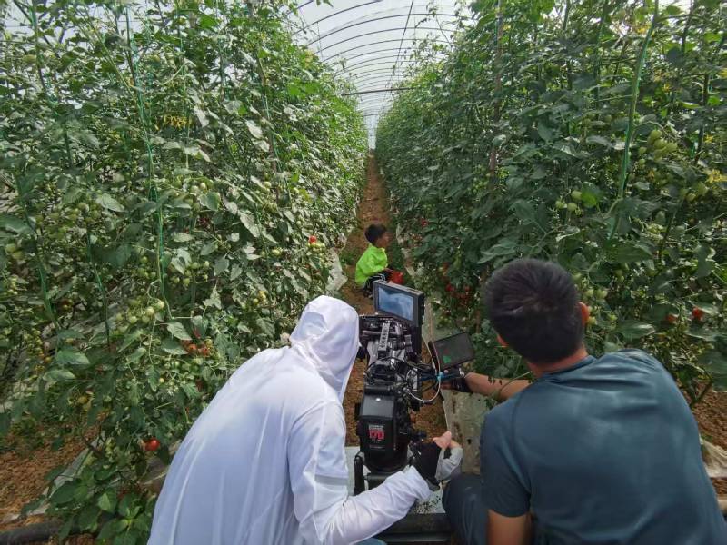 孟州市产品宣传视频拍摄公司进阶指南，助力品牌抢占传播高地